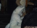 DSCF2778.JPG